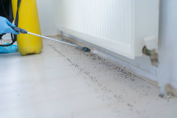 Best Pest Prevention Services  in Wildwood Crest, NJ